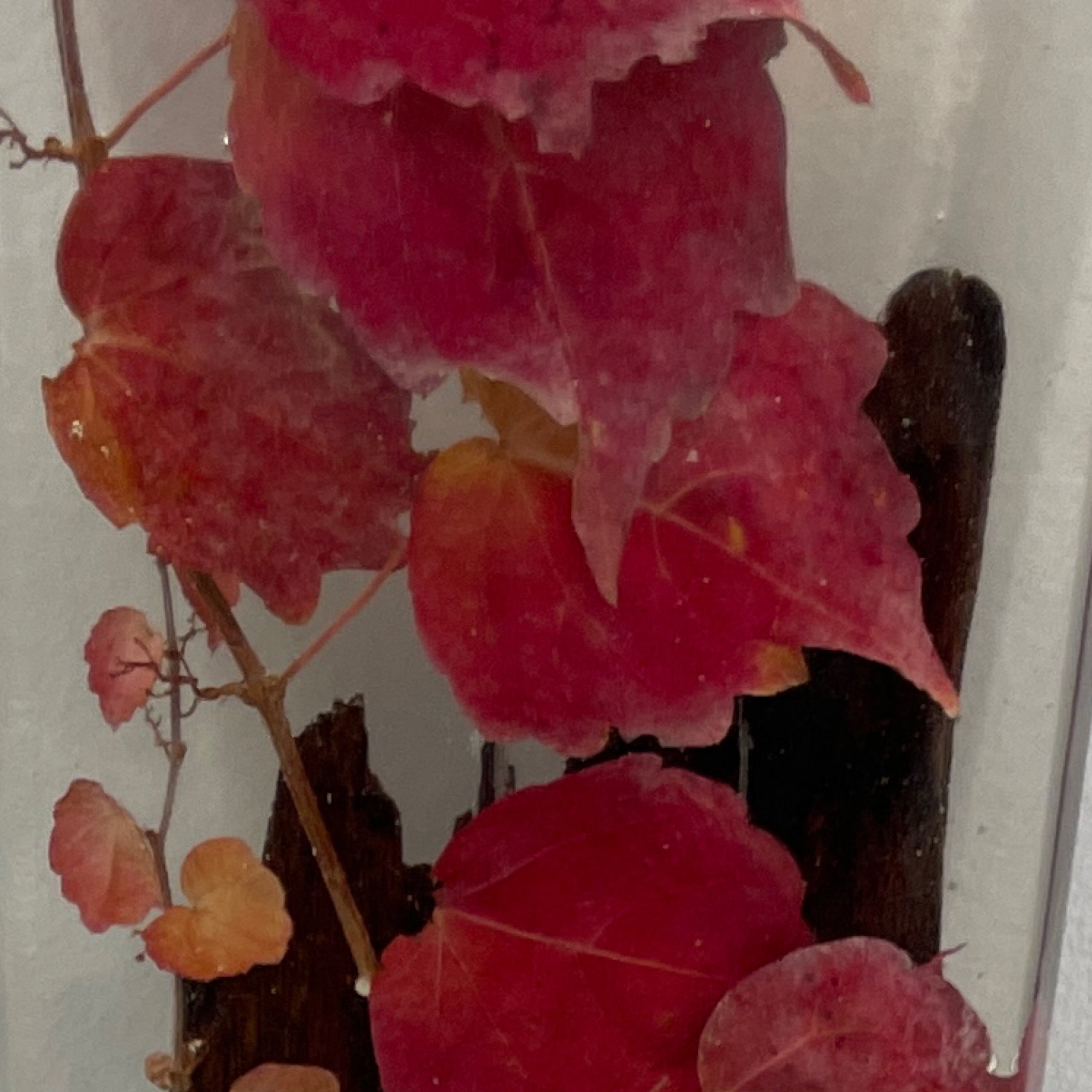 Boston Ivy Fence Post | House and Garden Art